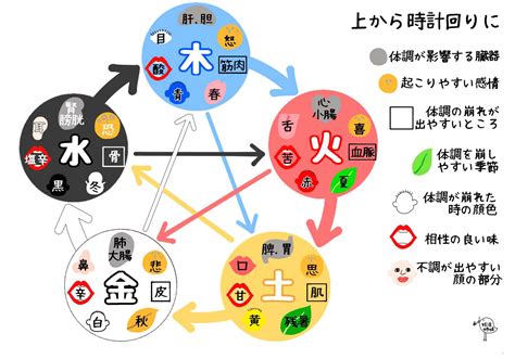 五行 木 性質